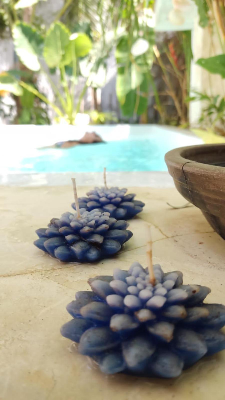 Chale Da Sereia Apart-Hotel Com Cozina Piscina Oasis No Centro De Jericoacoara Eksteriør billede