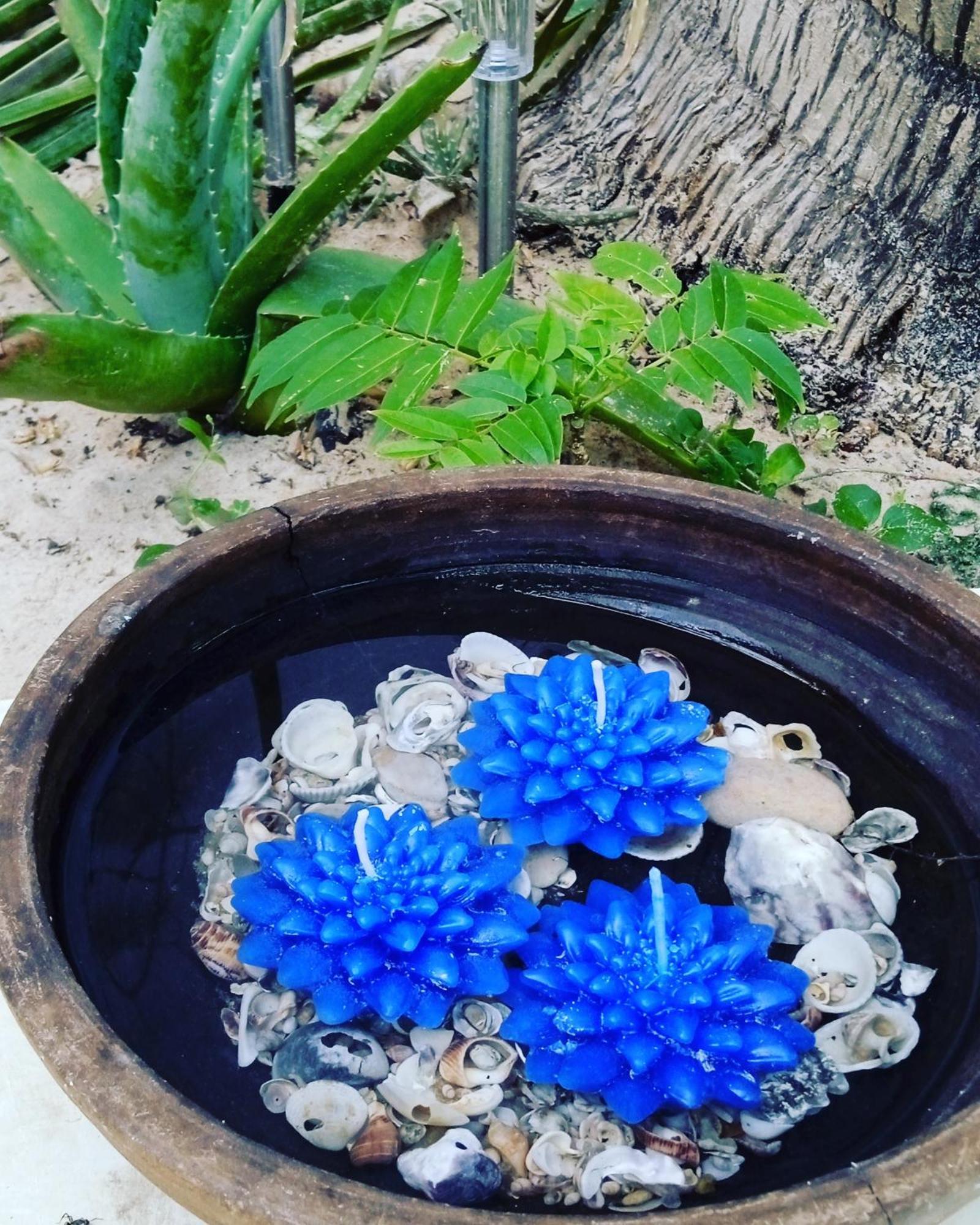 Chale Da Sereia Apart-Hotel Com Cozina Piscina Oasis No Centro De Jericoacoara Eksteriør billede